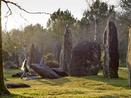 les menhirs de monteneuf